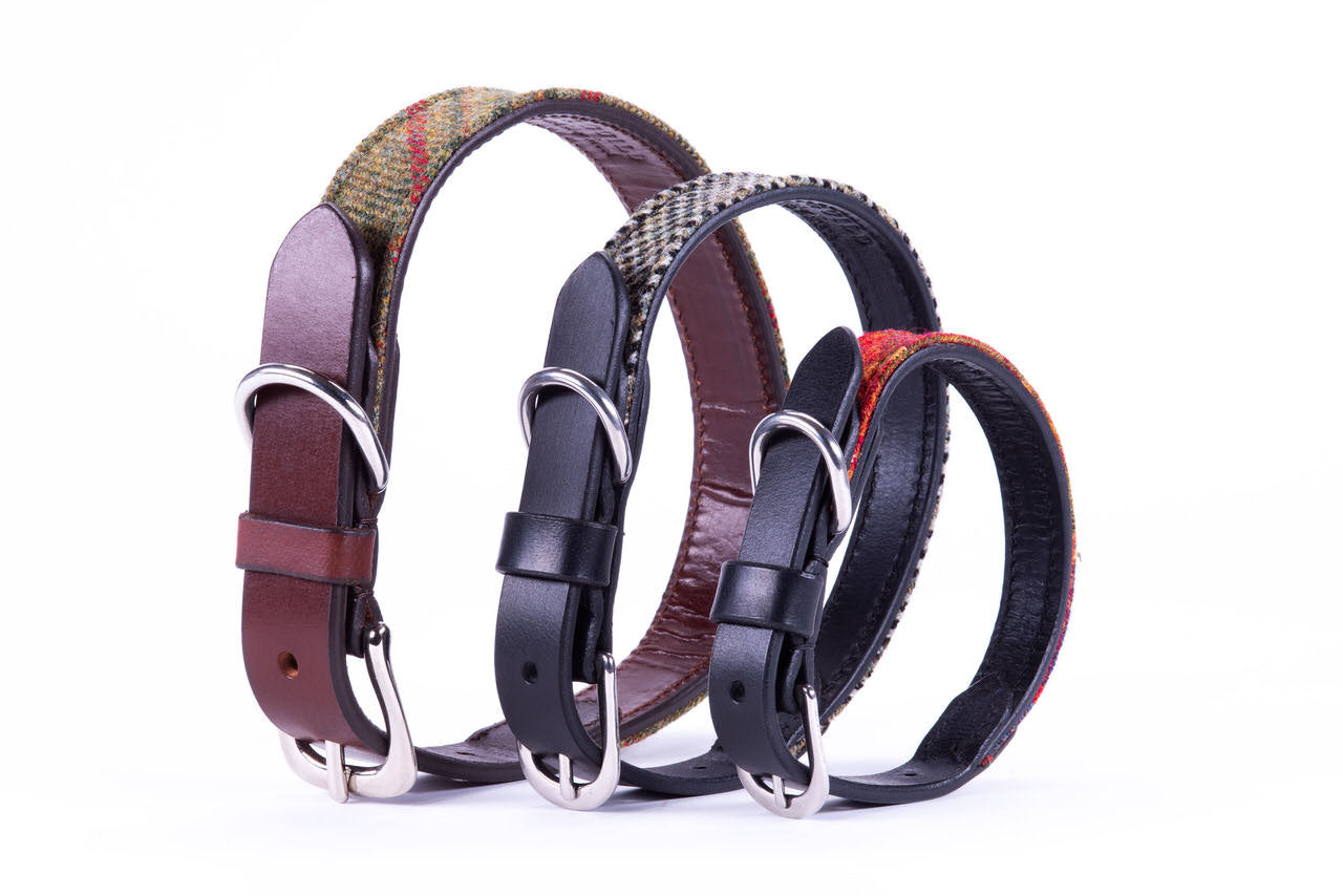 Exotic leather best sale dog collars